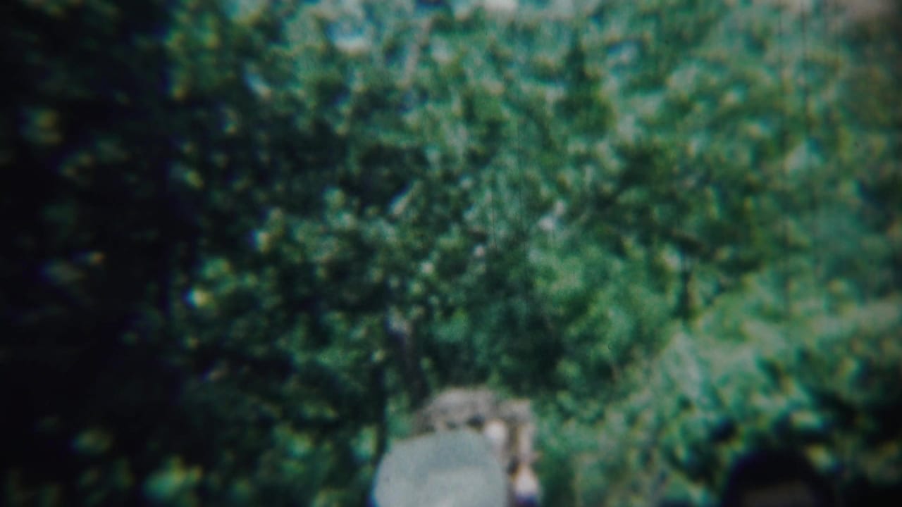 Woman in red partly obscured by trees with a pale object at right.