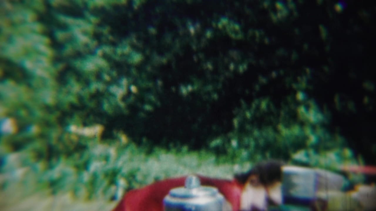 Person in a red shirt near a table or surface in a wooded outdoor area.
