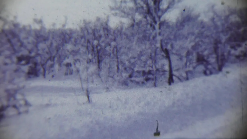 Snowy wooded scene with bare trees and a path, appearing in the same 1959 home-movie clip from Chadron, Nebraska.