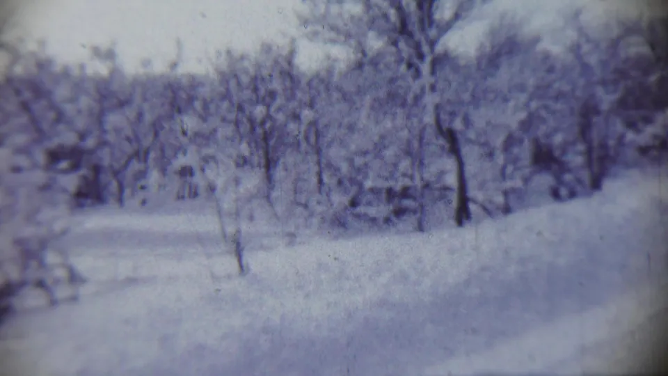 Blue-tinted 8mm view of snow-covered trees and a narrow path in the Chadron, Nebraska clip.