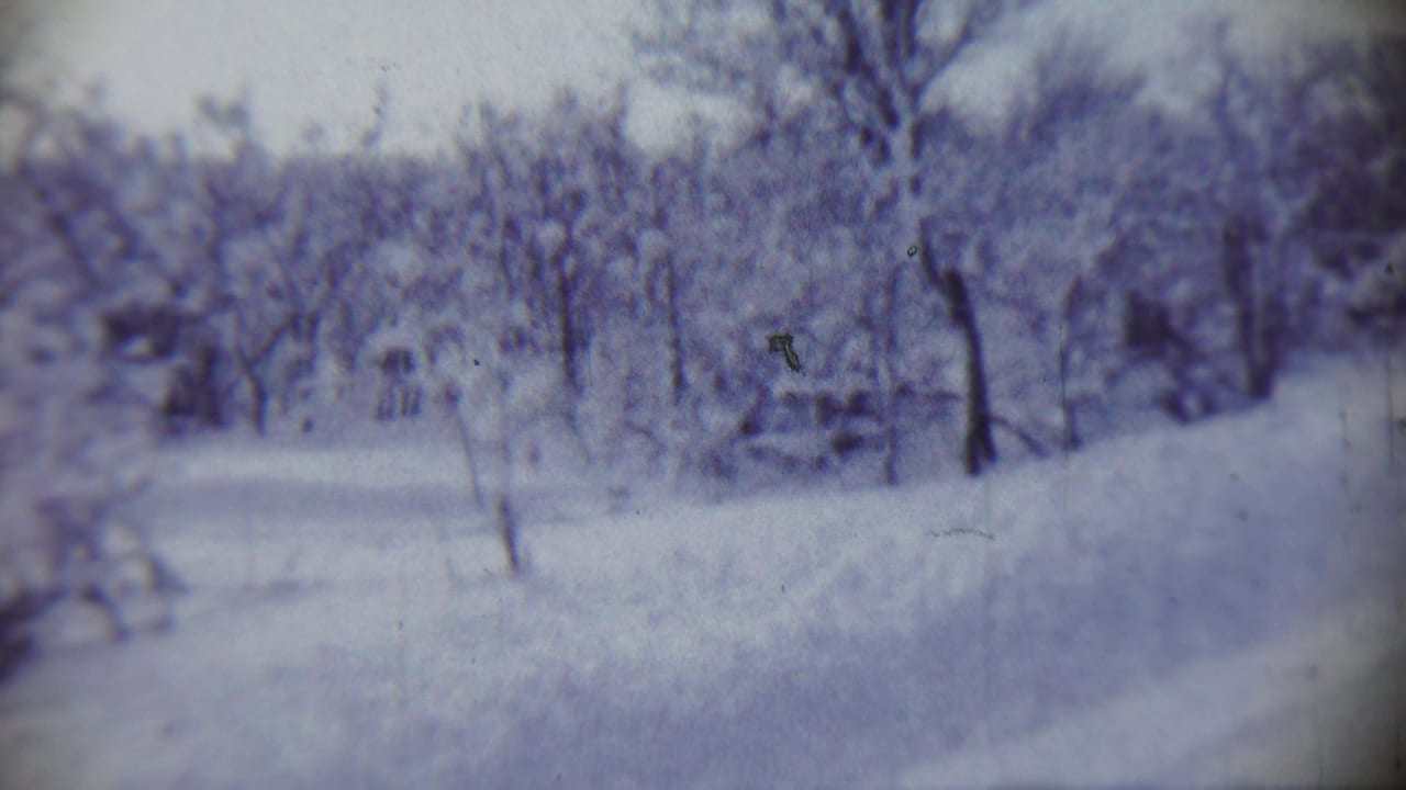 Snow-covered trees and a faint road or path in a winter landscape.