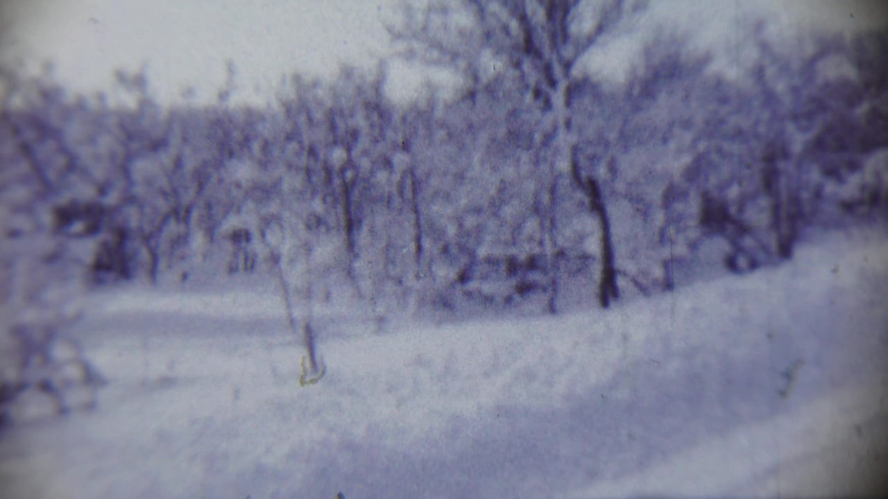 Snowy wooded scene with bare trees and indistinct structures in the distance.