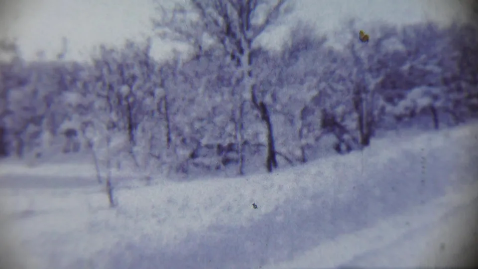 1959 Chadron, Nebraska 8mm frame showing a snowy path or road bordered by bare trees and blurred winter brush.