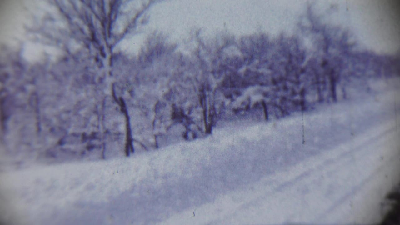 Snowy trees and a quiet road or path appear in this 1959 Chadron, Nebraska winter home-movie view.