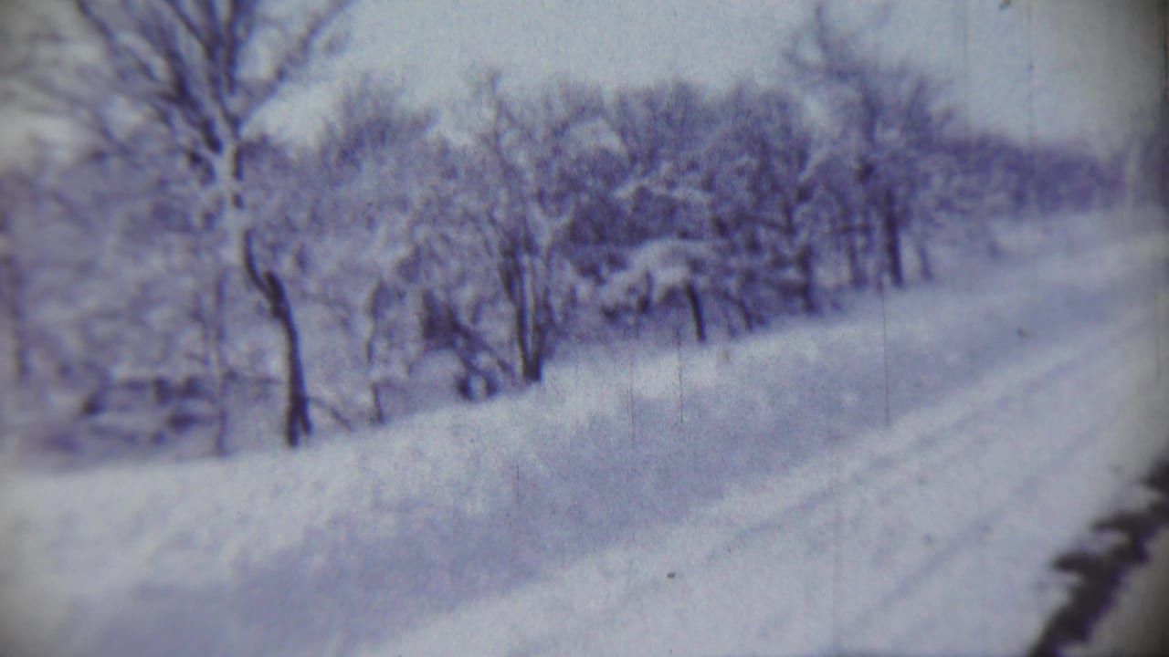 Snow-covered road bordered by bare trees in a winter landscape.