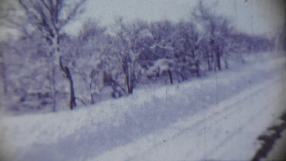 1959 Chadron, Nebraska 8mm frame showing snow-heavy bare trees beside a pale road or track in winter weather.