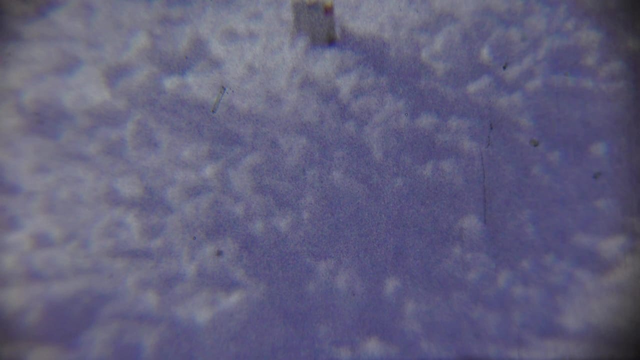 Faded 8mm frame of a snowy wooded area near Chadron, Nebraska, with bare branches and soft winter light.