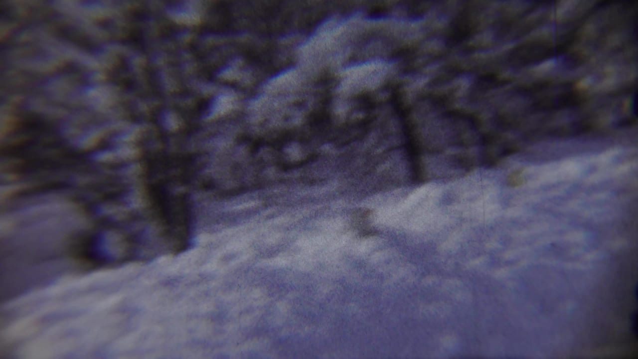 Snowy roadside with trees and a blurred figure near the center background.