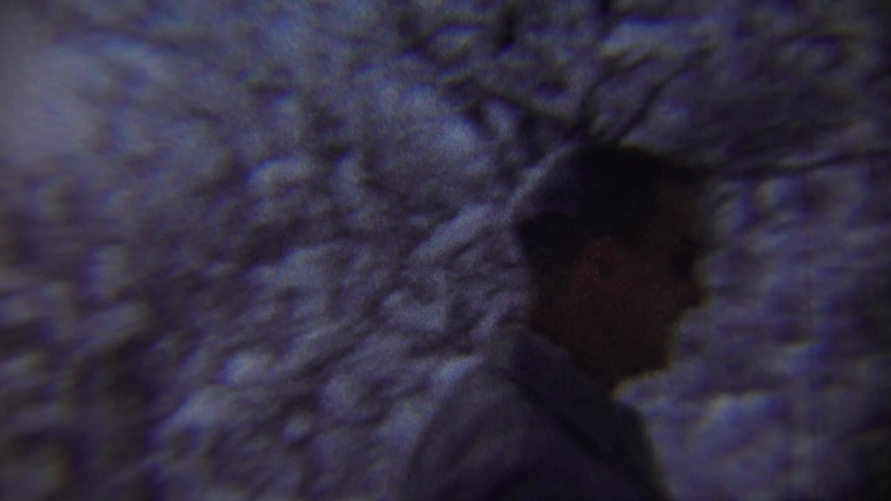 Dark-coated man partly silhouetted among snow-covered trees.