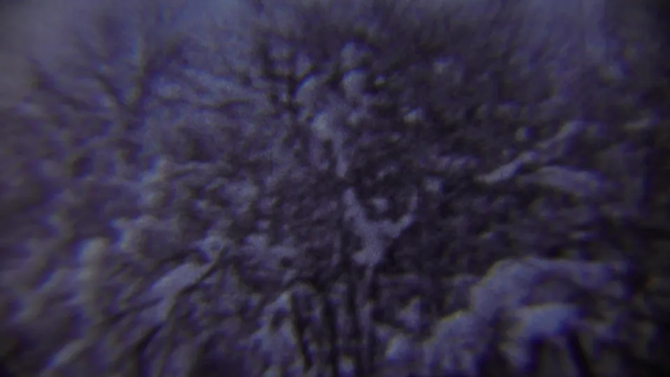 Snow-laden branches and winter trees fill the frame in cool-tinted 8mm footage from the Chadron, Nebraska clip.