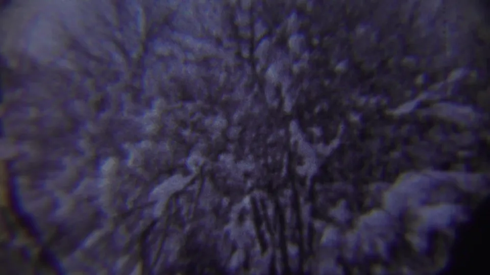 Snow-laden trees dominate the final frame, with a faint person shape visible deeper in the wintry Chadron woods.