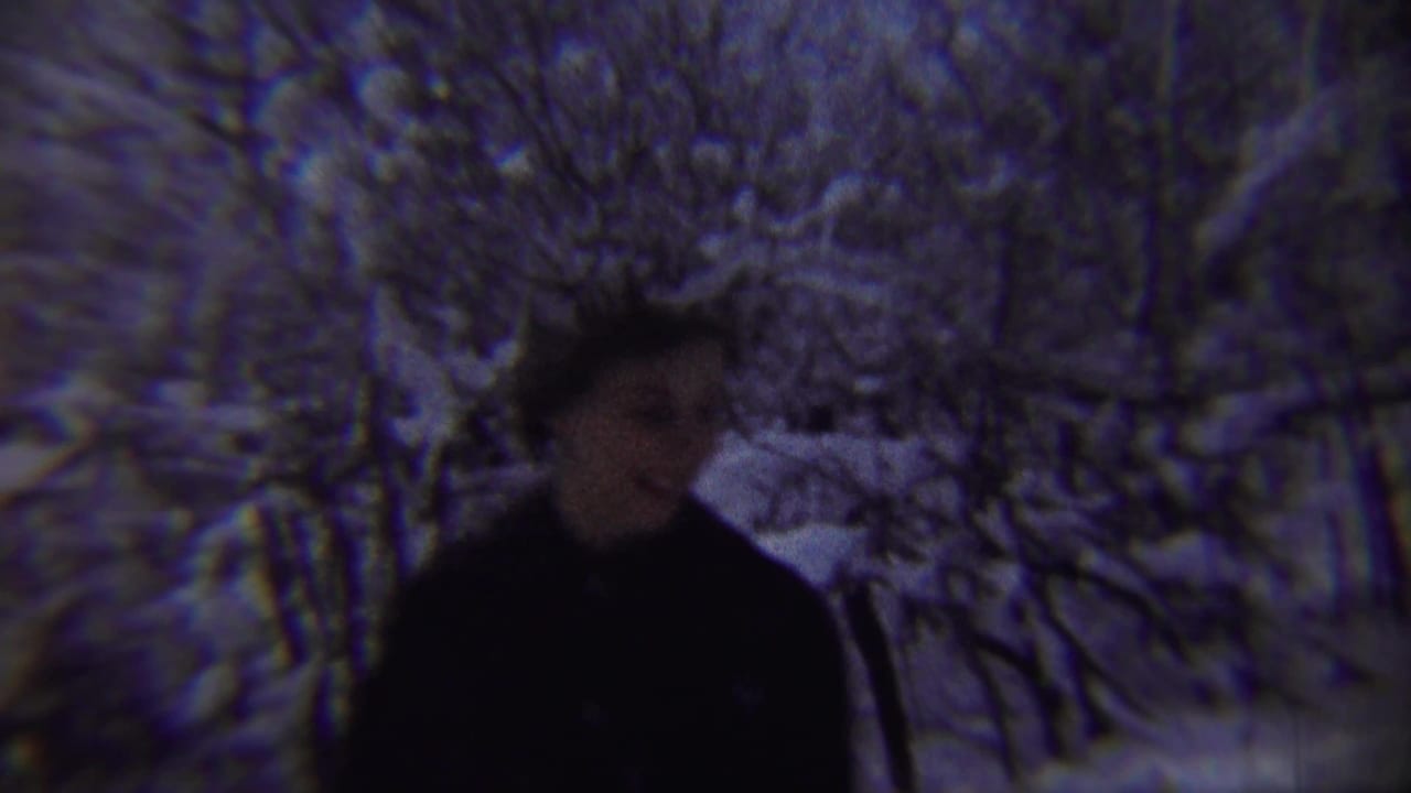 Woman in dark winter clothing stands or walks beside a snowbank under snow-covered trees.