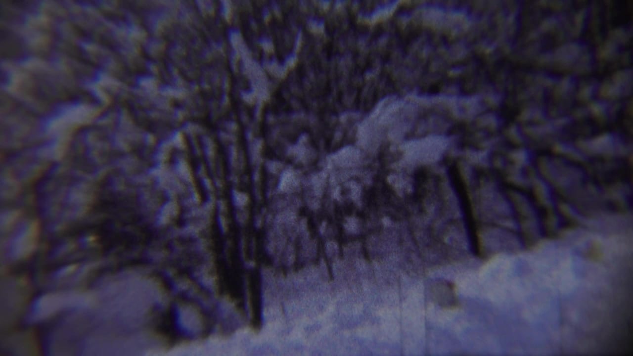 Snow-laden trees and a bright snowy path fill the frame with a blurred figure near center.
