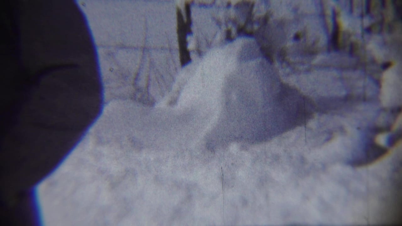 Snow-covered yard with a large drift and dark vertical shape at the left edge.