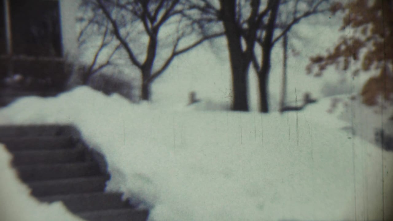 Snow-covered steps beside a front yard with bare trees in the background.