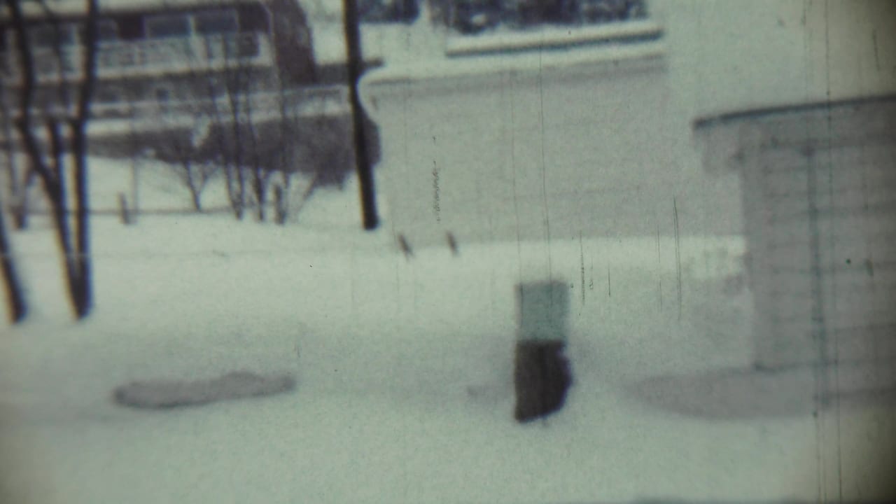 Snow-covered yard with bare trees, a background building, and a dark object standing in the snow.