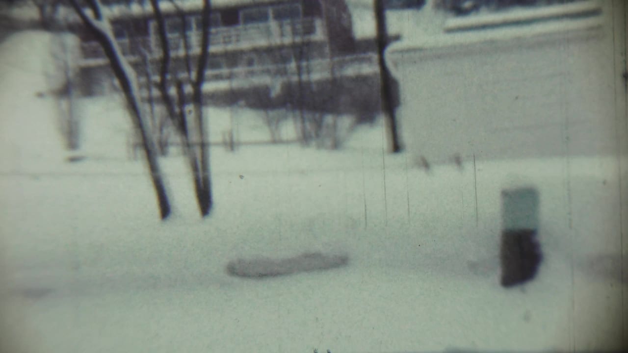 Snowy yard with bare trees, a building in the background, and a small dark object at right.