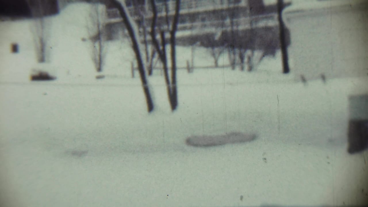Snow-covered yard with bare trees and a light-colored house in the background.
