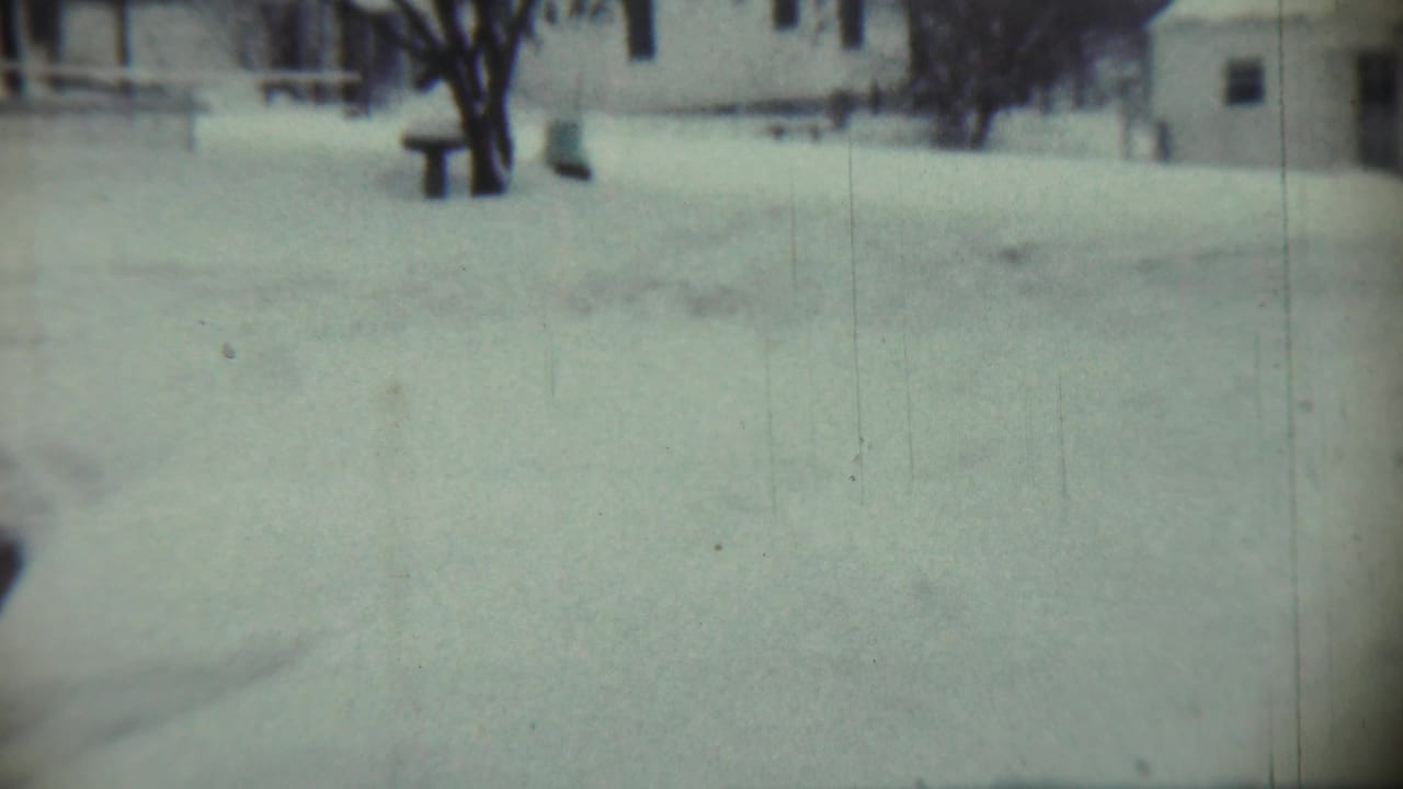 Snow-covered yard with bare trees and a light-colored house in the background.