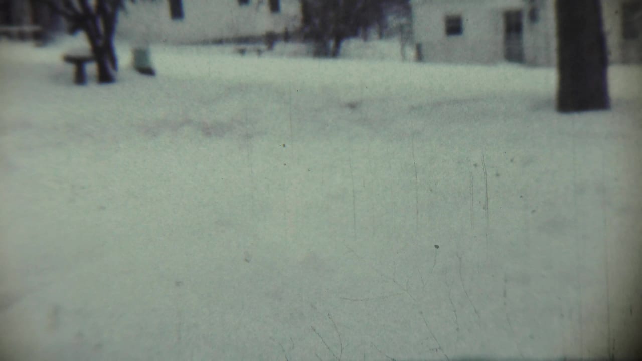 Snowy yard with a tree trunk at right and a house visible beyond the snow.
