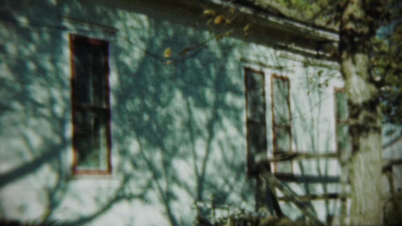 White house wall with tall window, tree shadows, and branches in front.