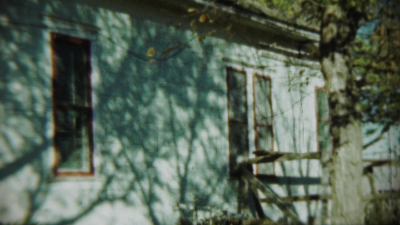 Side of a white house with windows, tree trunk, branches, and shadows.