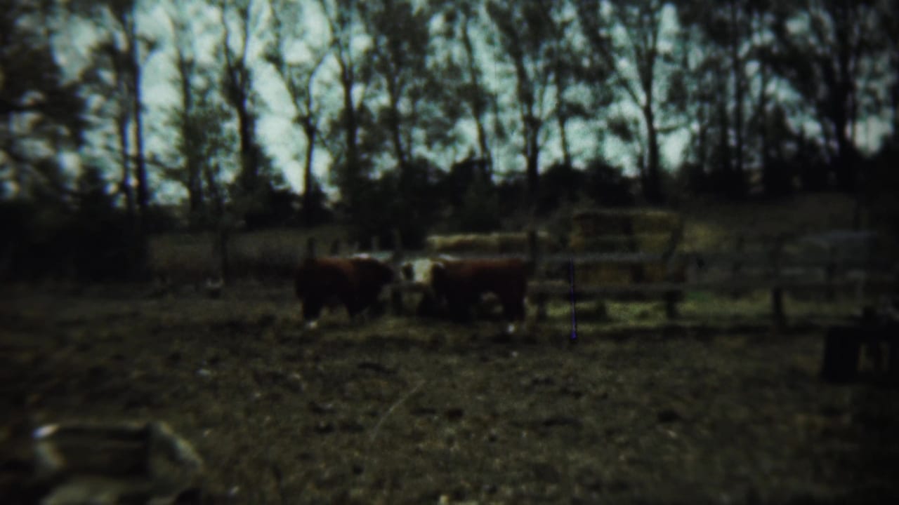 Rural yard with livestock at left and a two-tone 1950s sedan beside two standing adults.