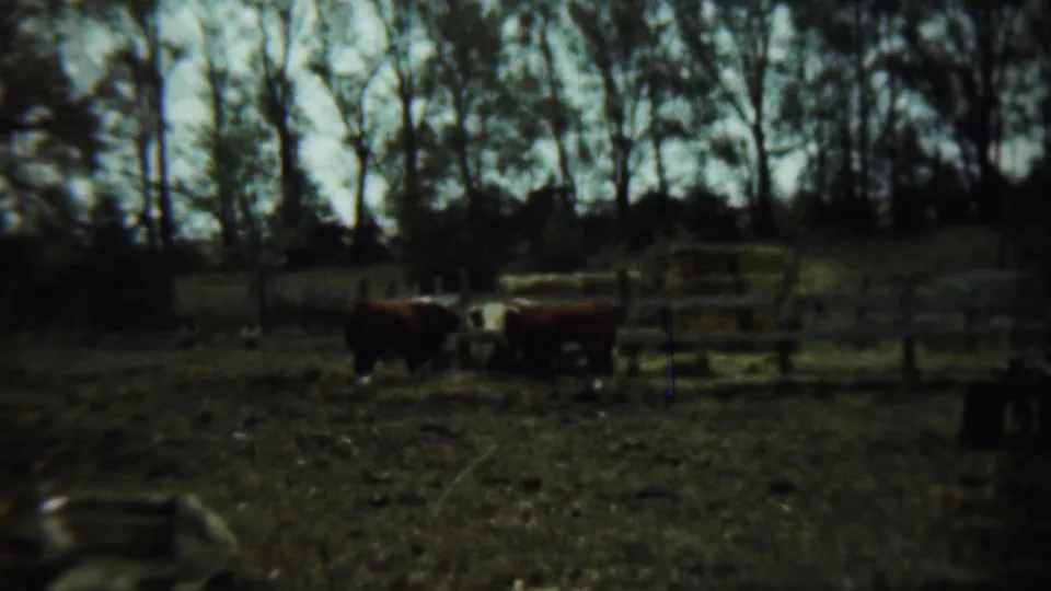In Chadron, Nebraska, 1959 home-movie footage, a couple stands by a green and white sedan in a dirt yard with livestock nearby.