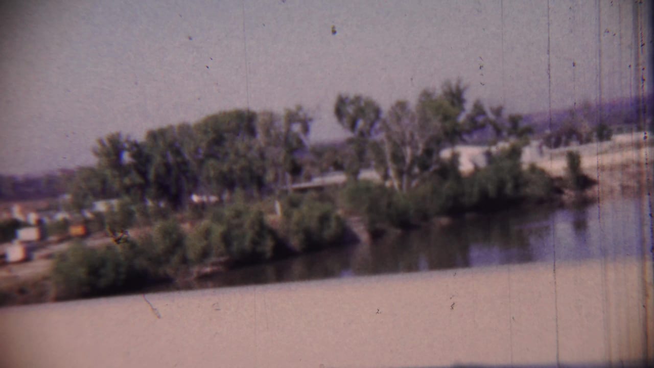 Tree-lined riverbank with low buildings beyond the water and pale sky.