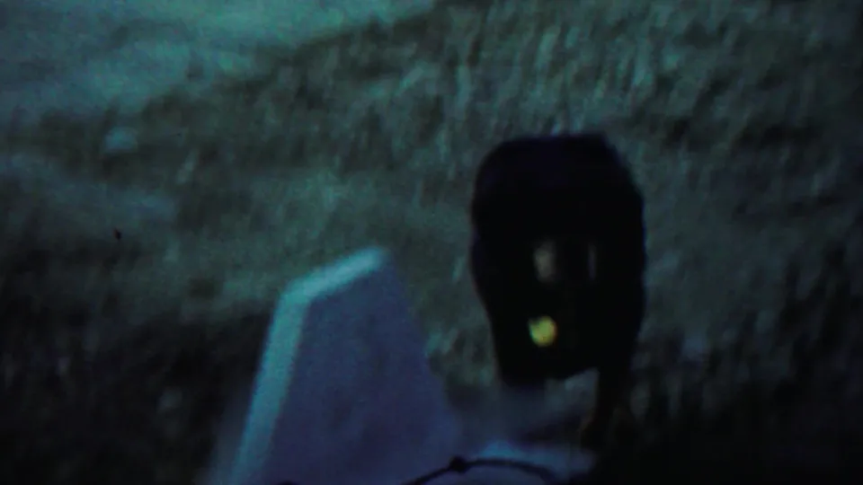 The dog faces toward the camera near a pale foreground object, with the sidewalk and grass blurred by handheld 8mm motion.