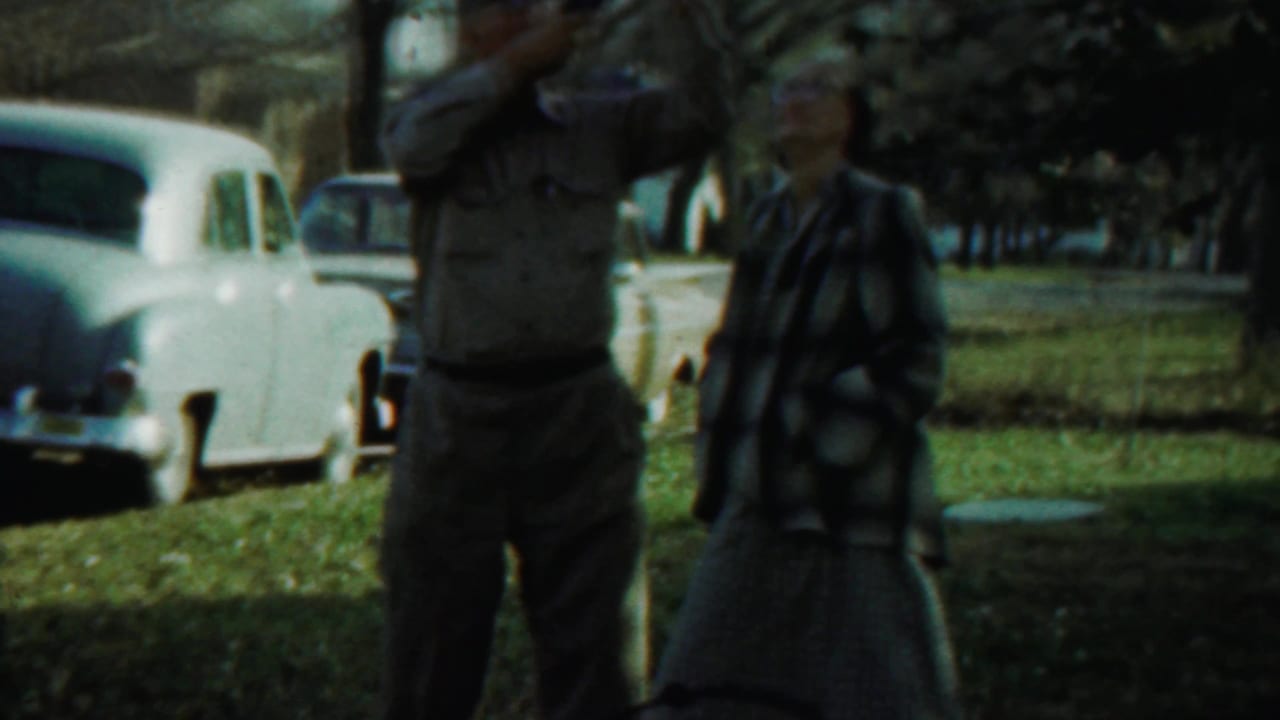 Man with camera and woman standing beside light-colored cars under trees.