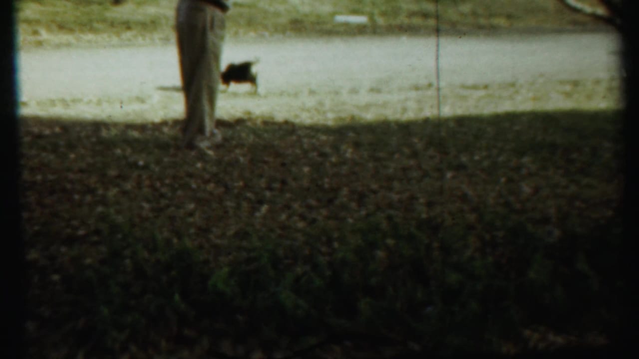 In Saint Francis, Kansas home-movie footage from 1959, a small dark dog stands on a gravel path while an adult's legs are partly visible.
