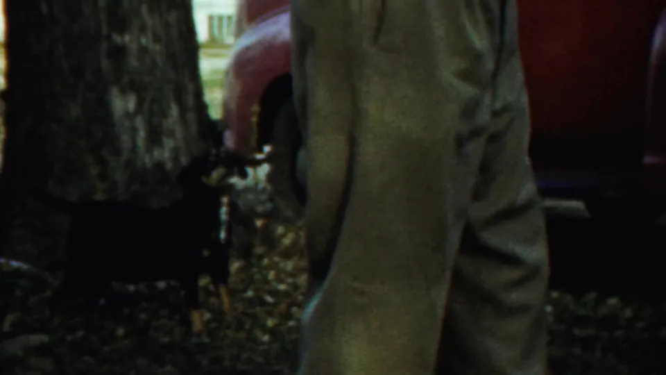 In Saint Francis, Kansas, 1959 home-movie footage, a small black dog stands by trees near a red car while a person’s legs enter frame.