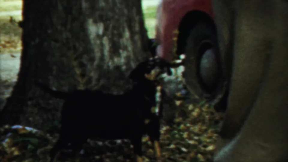 Two partially seen standing figures and a red car appear among tree trunks in 1959 Saint Francis, Kansas home-movie footage.