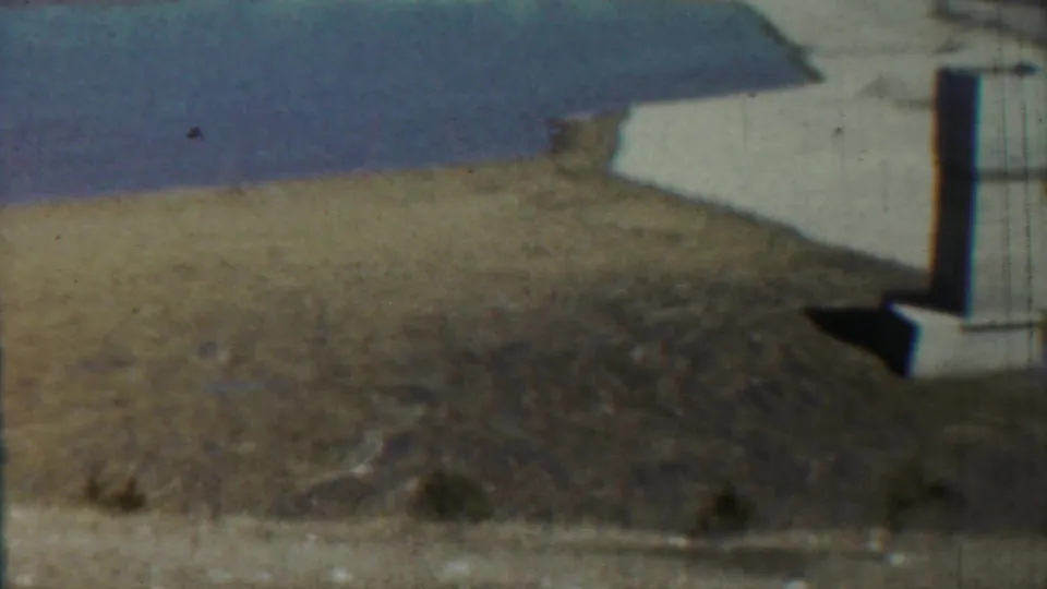 By the end of the pan, the column moves toward the right edge while dry terrain and a muted waterline fill the scene.