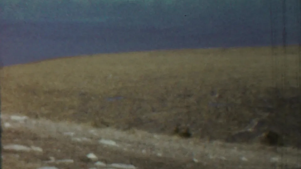 1959 Saint Francis, Kansas landscape frame showing an empty dry field or low hillside, small shrubs, pale ground, and blue sky.