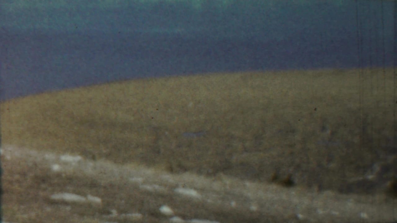 Soft-focus shoreline beneath a blue sky with rocky foreground and distant low land.