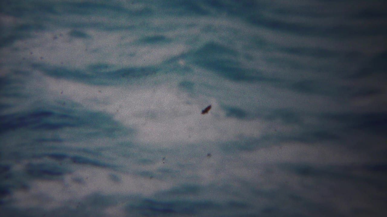 1954 Yokohama 8mm frame showing turbulent sea foam, dark water, and a visible film speck near the lower right.