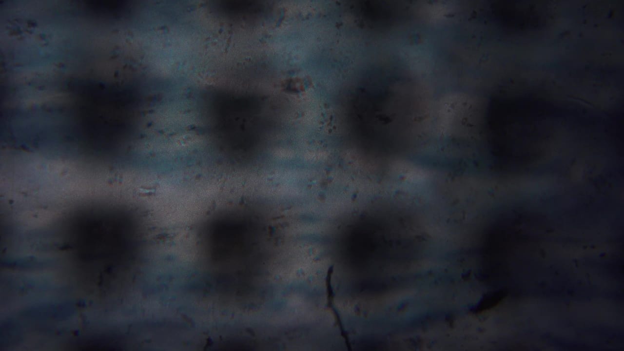Soft-focus grey surface with dark circular pits and film speckling.