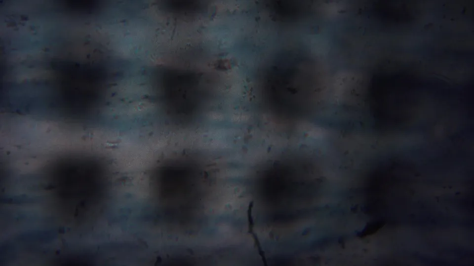 1954 Yokohama 8mm frame showing a blurred grey patterned surface with dark round indentations and visible film grain.