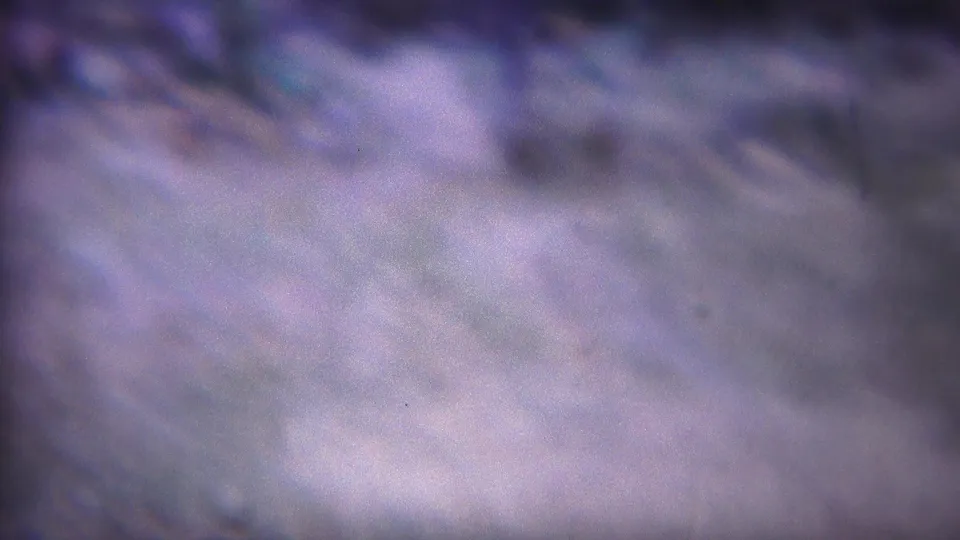 1967 Yellowstone home-movie frame showing a soft, close view of pale grass or ground texture with visible 8mm grain and color drift.