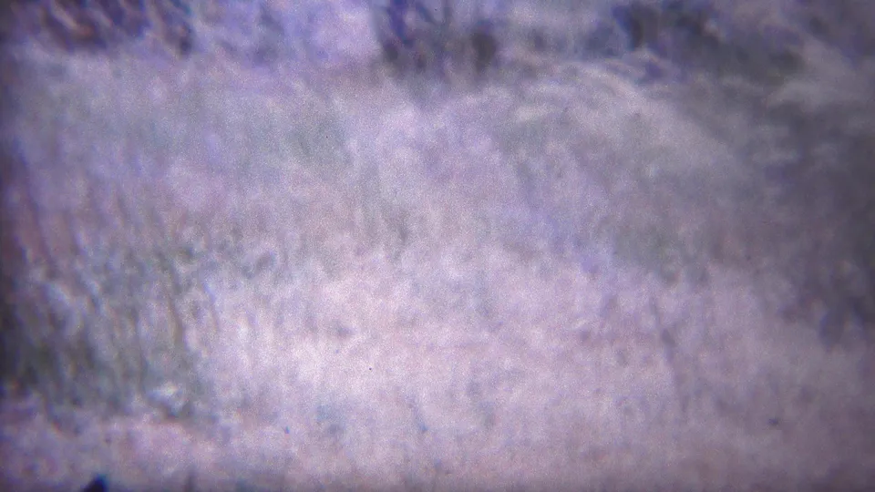 1967 Yellowstone footage shows a close, hazy field texture, with pale grass-like detail, darker blurred patches, and 8mm grain.