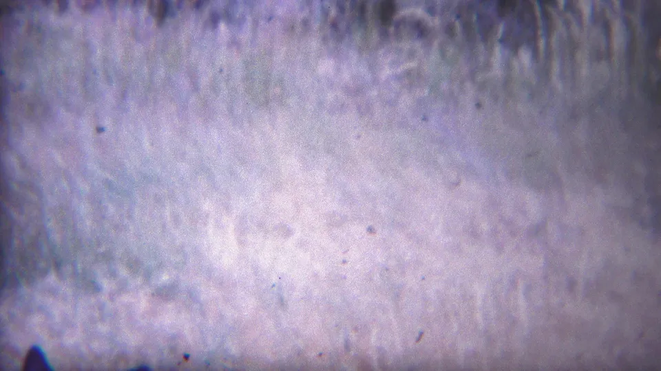 1967 Yellowstone 8mm frame of pale mottled ground or snow texture, softened by film grain and blue-purple color shifts.