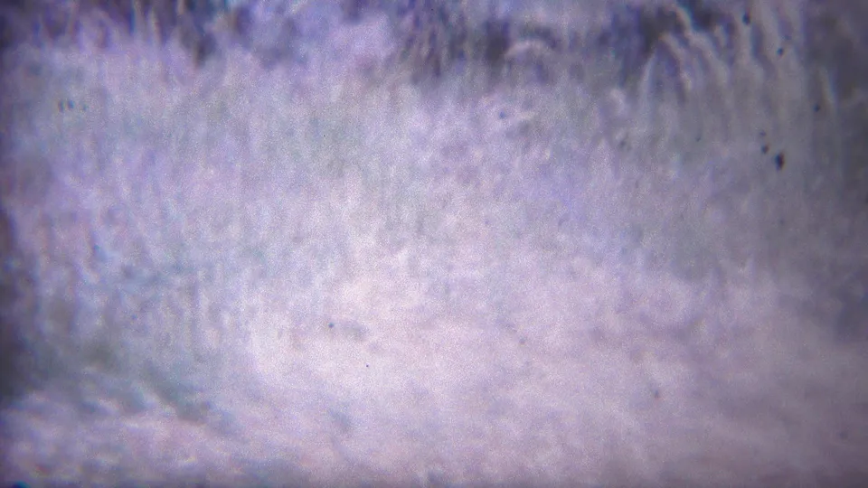1967 Yellowstone 8mm frame showing a pale natural surface, possibly snow or ground, with grain, specks, and uneven exposure.