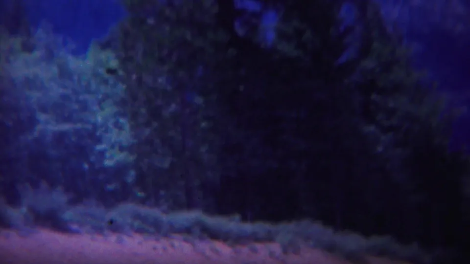 1967 Yellowstone 8mm frame showing a dark blue-green wooded area with a reddish foreground strip and grainy shadows.