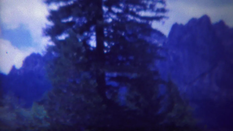 1967 Yellowstone home-movie frame showing evergreen growth in front of distant jagged peaks with pronounced blue film color.
