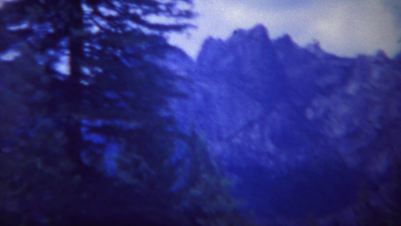 1967 Yellowstone 8mm frame showing a blue-tinted jagged mountain range partly obscured by evergreen trees.