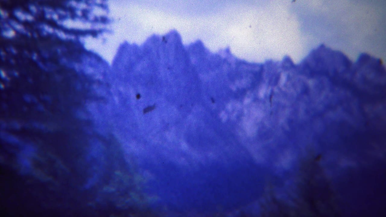 Distant blue mountain peaks with a dark tree trunk and branches in front.