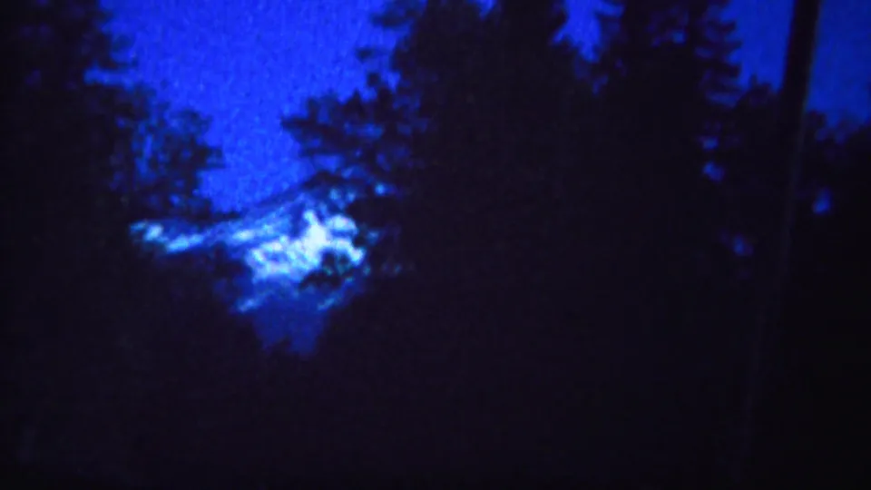 1967 Yellowstone-area 8mm frame with a distant snowy mountain peak glimpsed through dark evergreen trees.