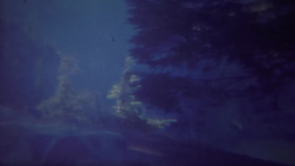1967 Yellowstone 8mm frame showing silhouetted trees against a dim blue-purple night sky.